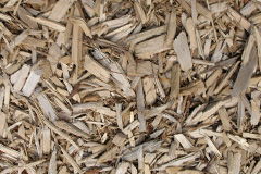 biomass boilers Torsonce